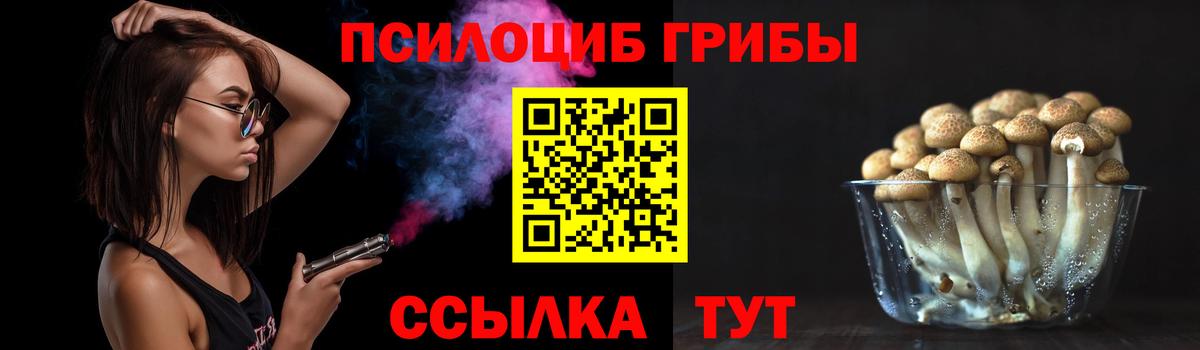Соль-Илецк  Галлюциногенные грибы прущие грибы  Вход с VPN 